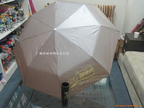 广州市雨中情伞业总部